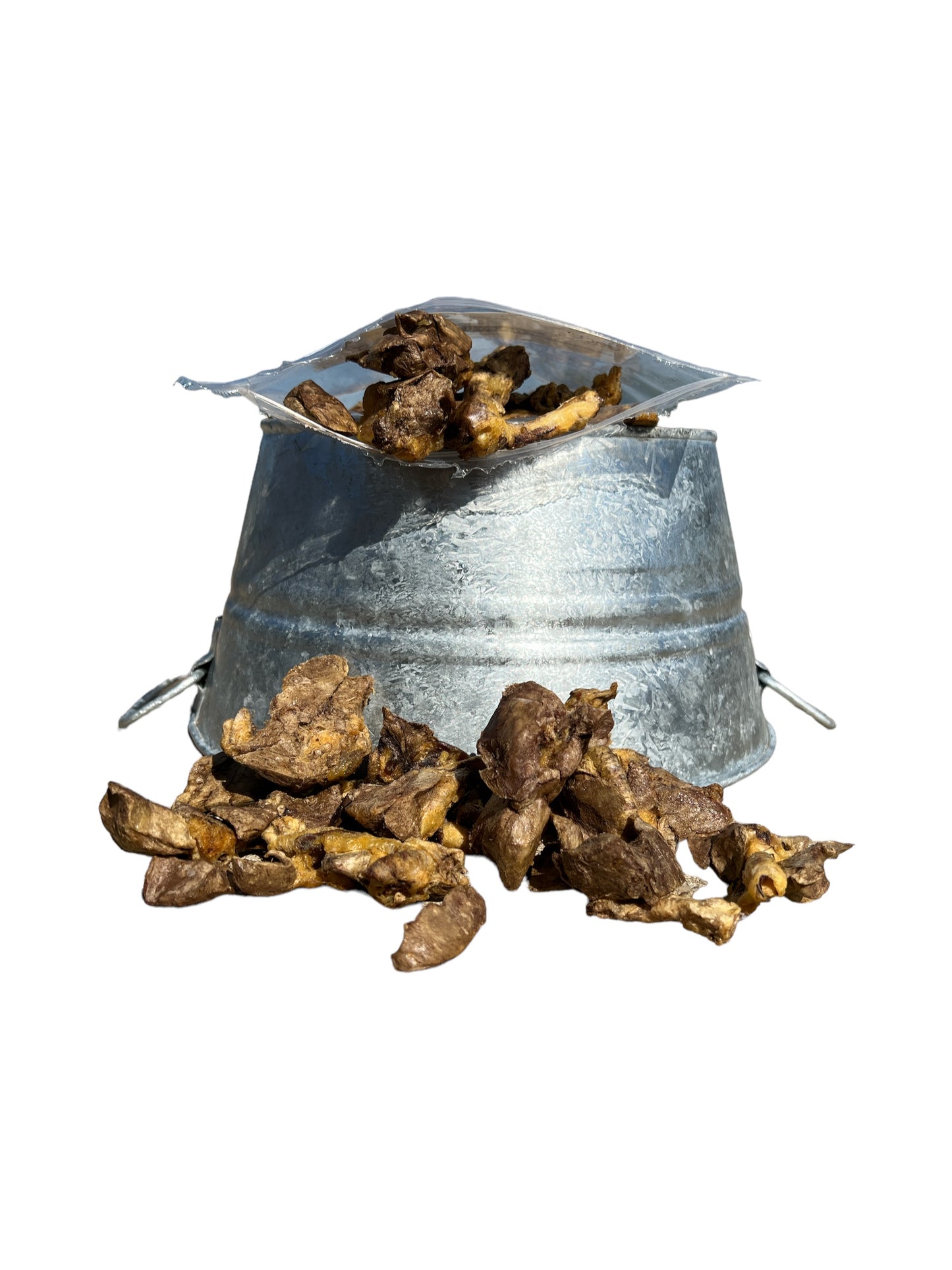 Dehydrated Rabbit Lung