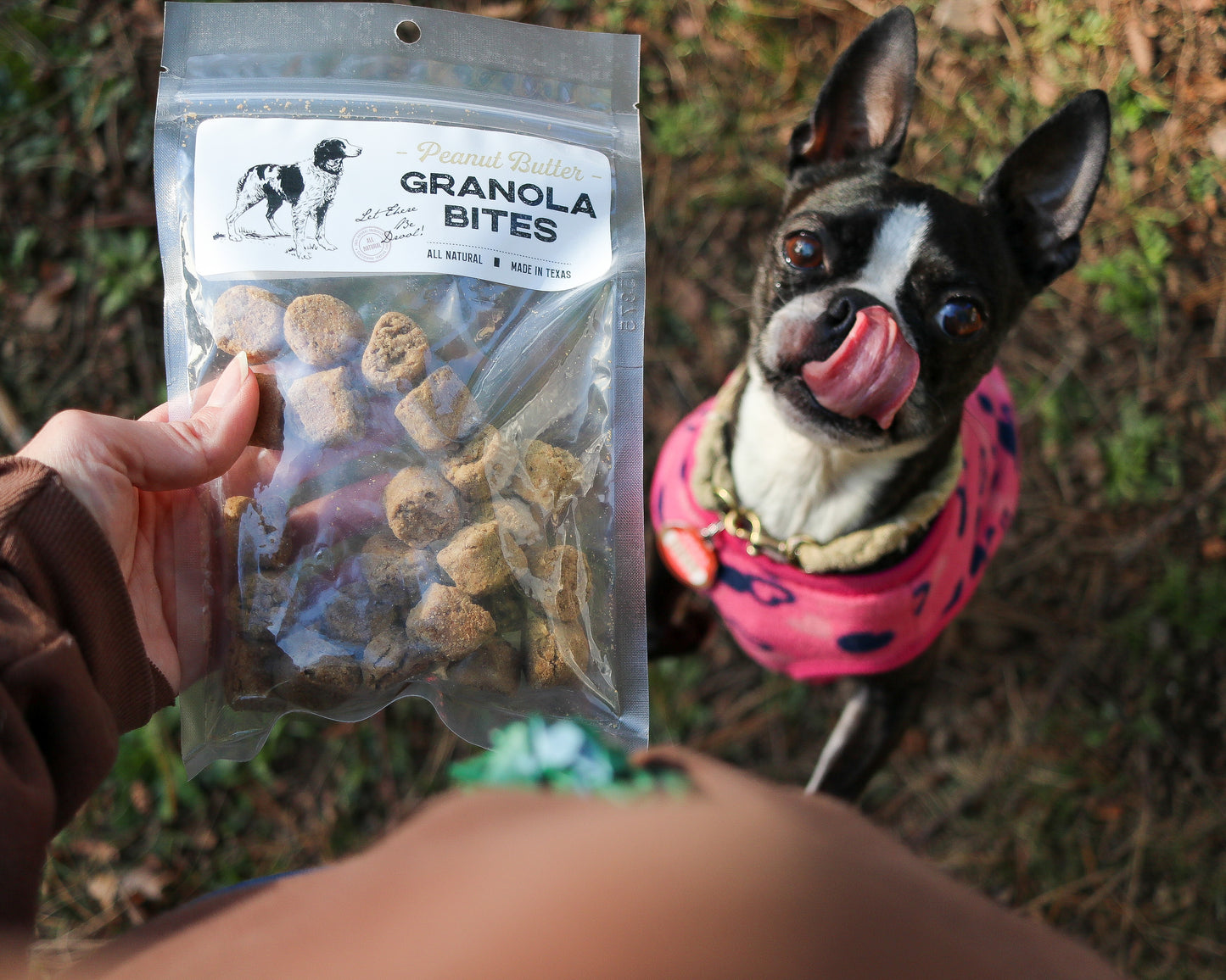 Granola Bites
