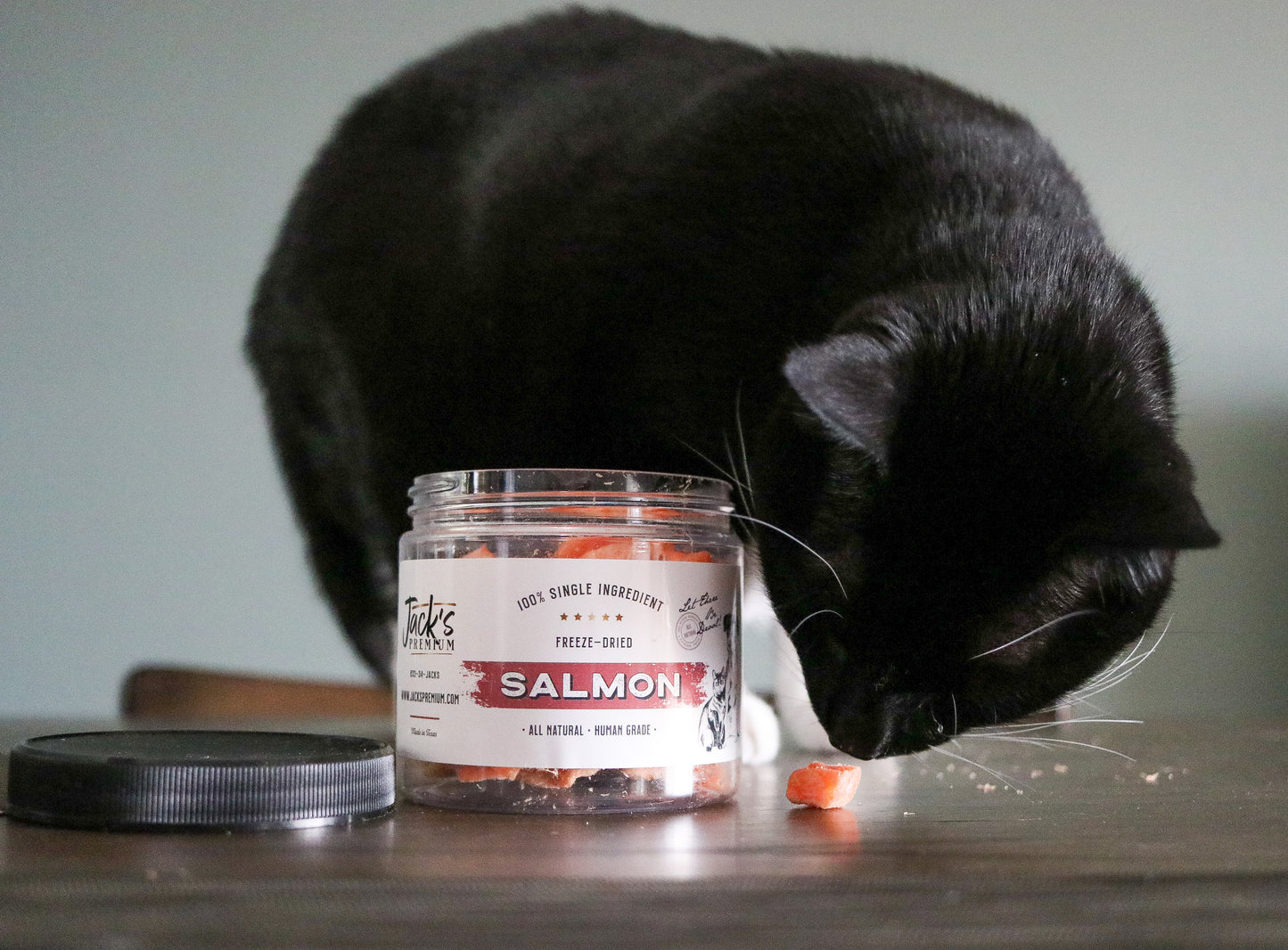 Cat sniffing salmon treats 