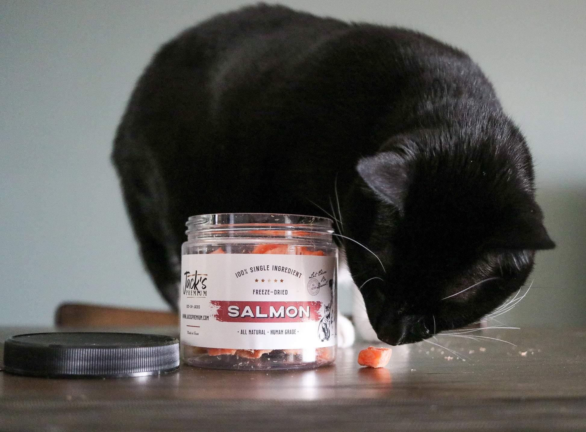 Cat sniffing salmon treats