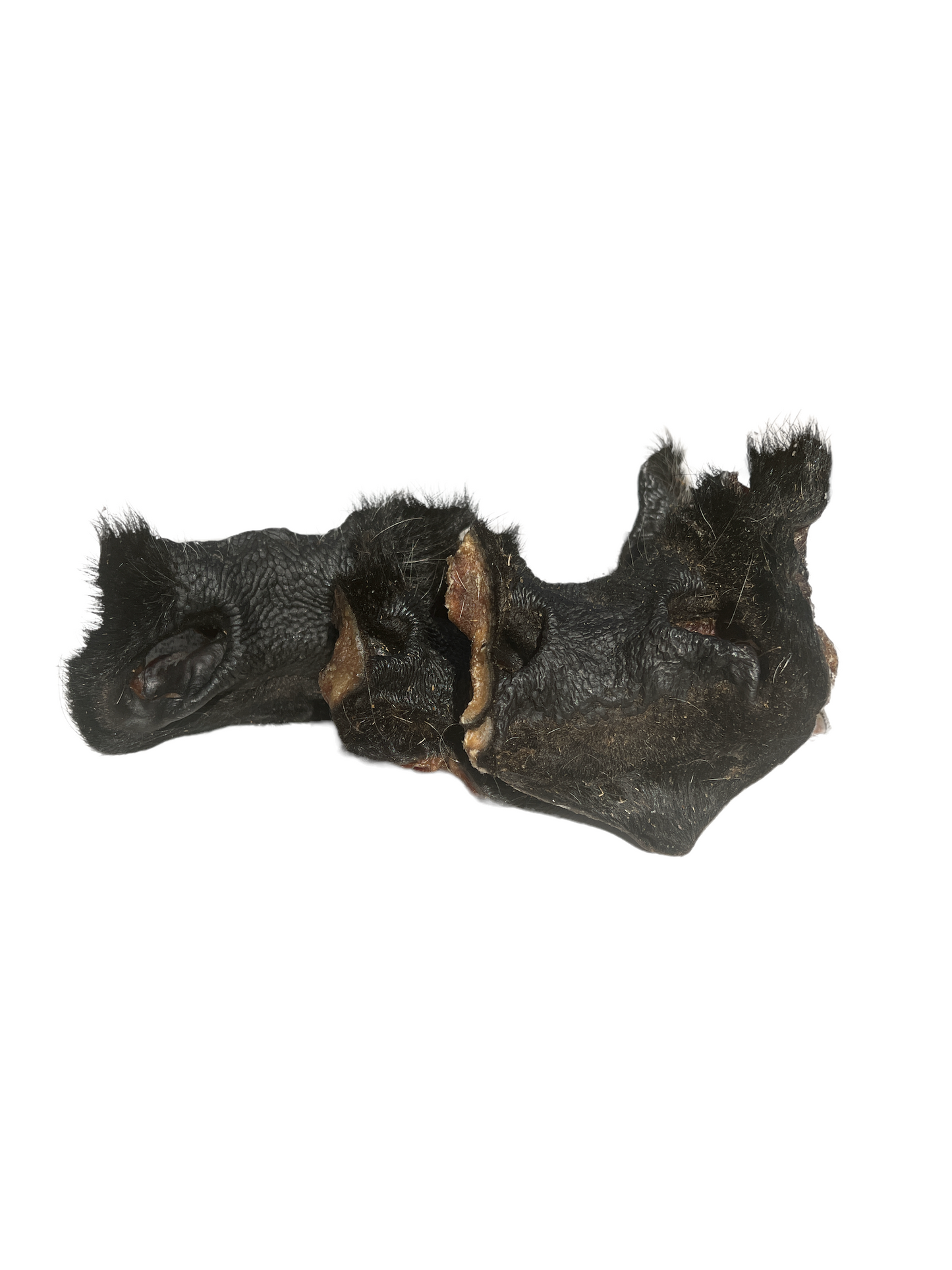 Cow Snout