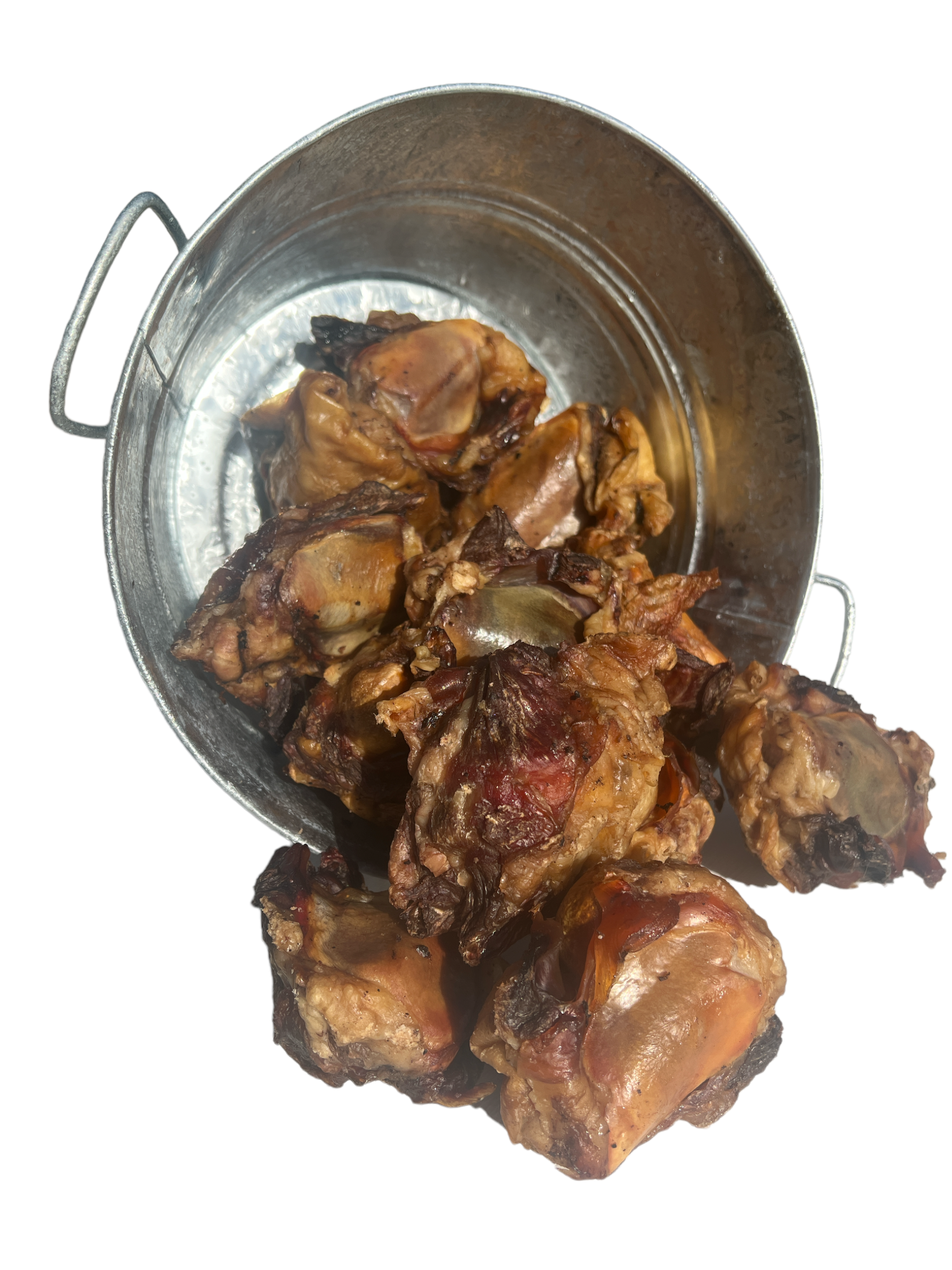 Beef Knee Caps for Dogs Texas Made Dog Bones