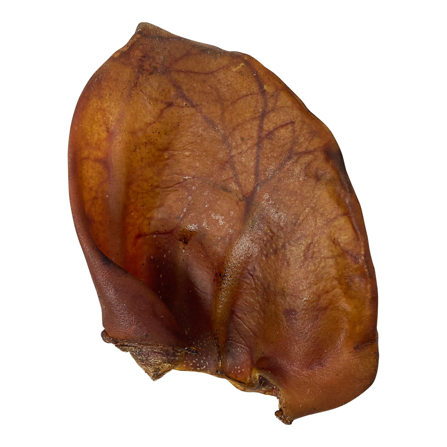 Pig Ear