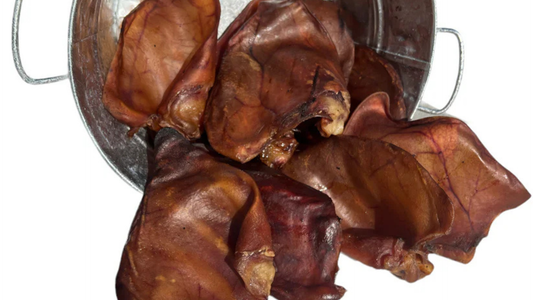 Are Pig Ears Good for Dogs? Benefits & Risks