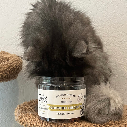 Best Handmade Cat Treats for a No-Filler Feline Diet