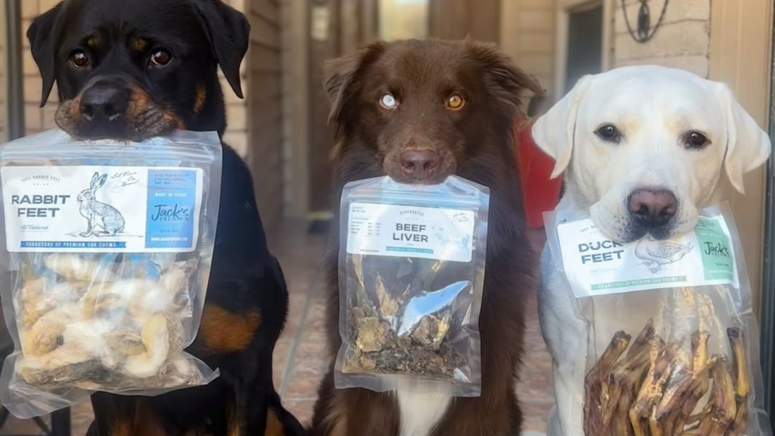 Jack's Premium vs. Stella & Chewy's: Why Our Treats Win on Ingredients