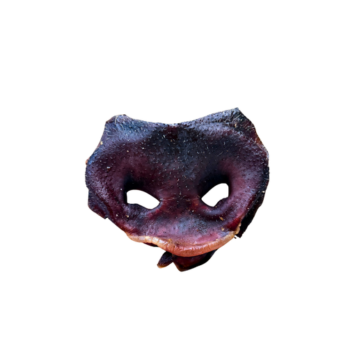 Pig Snout