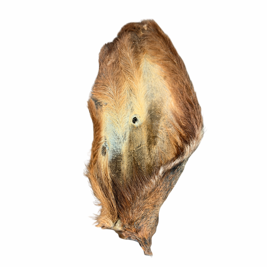 Cow Ear