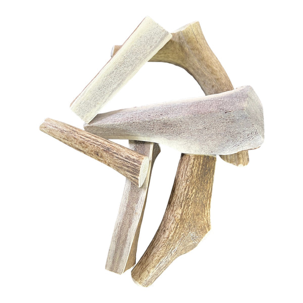 Elk Antlers