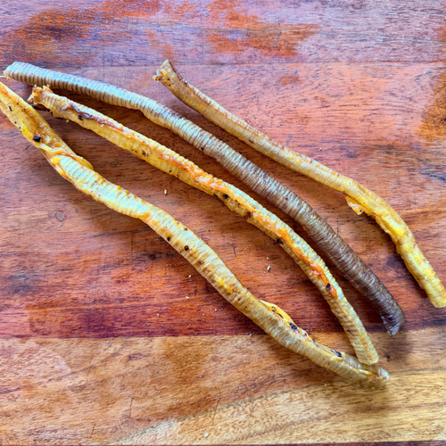 Turkey Trachea