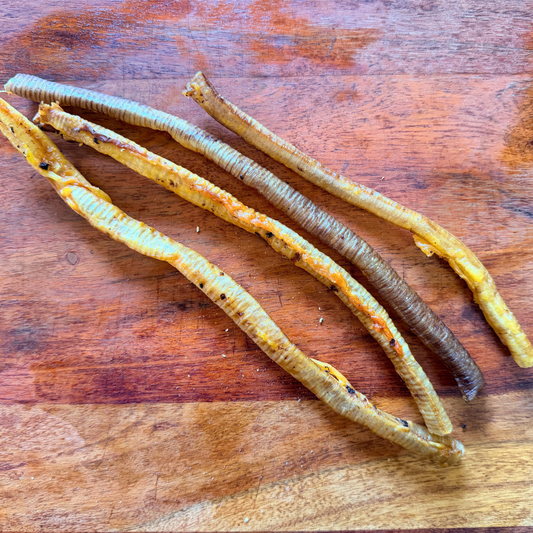 Turkey Trachea