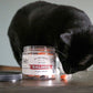 Cat sniffing salmon treats 