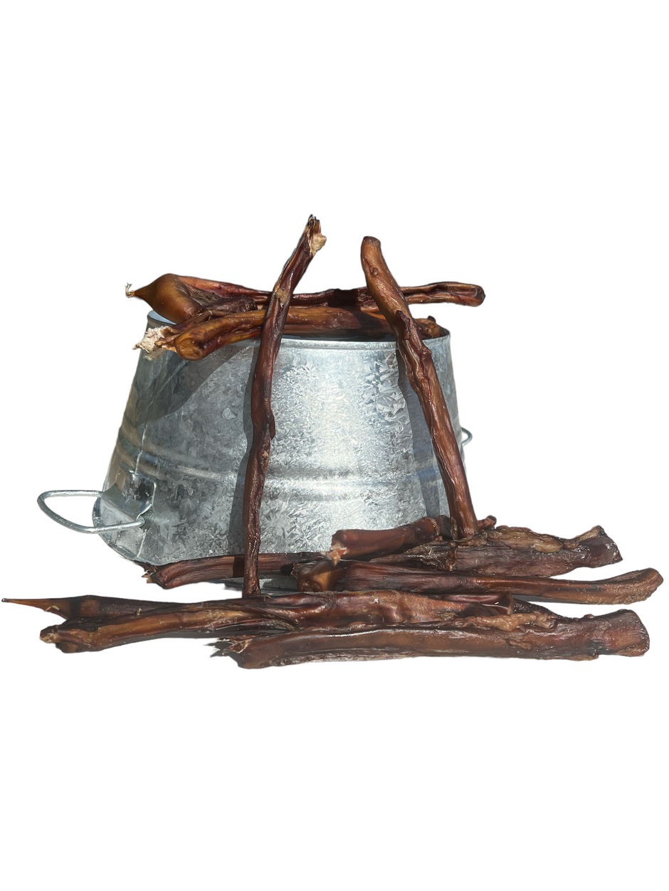 Best Bully Sticks for DogsOdor Free Smoked Dog Chew Jack's Premium