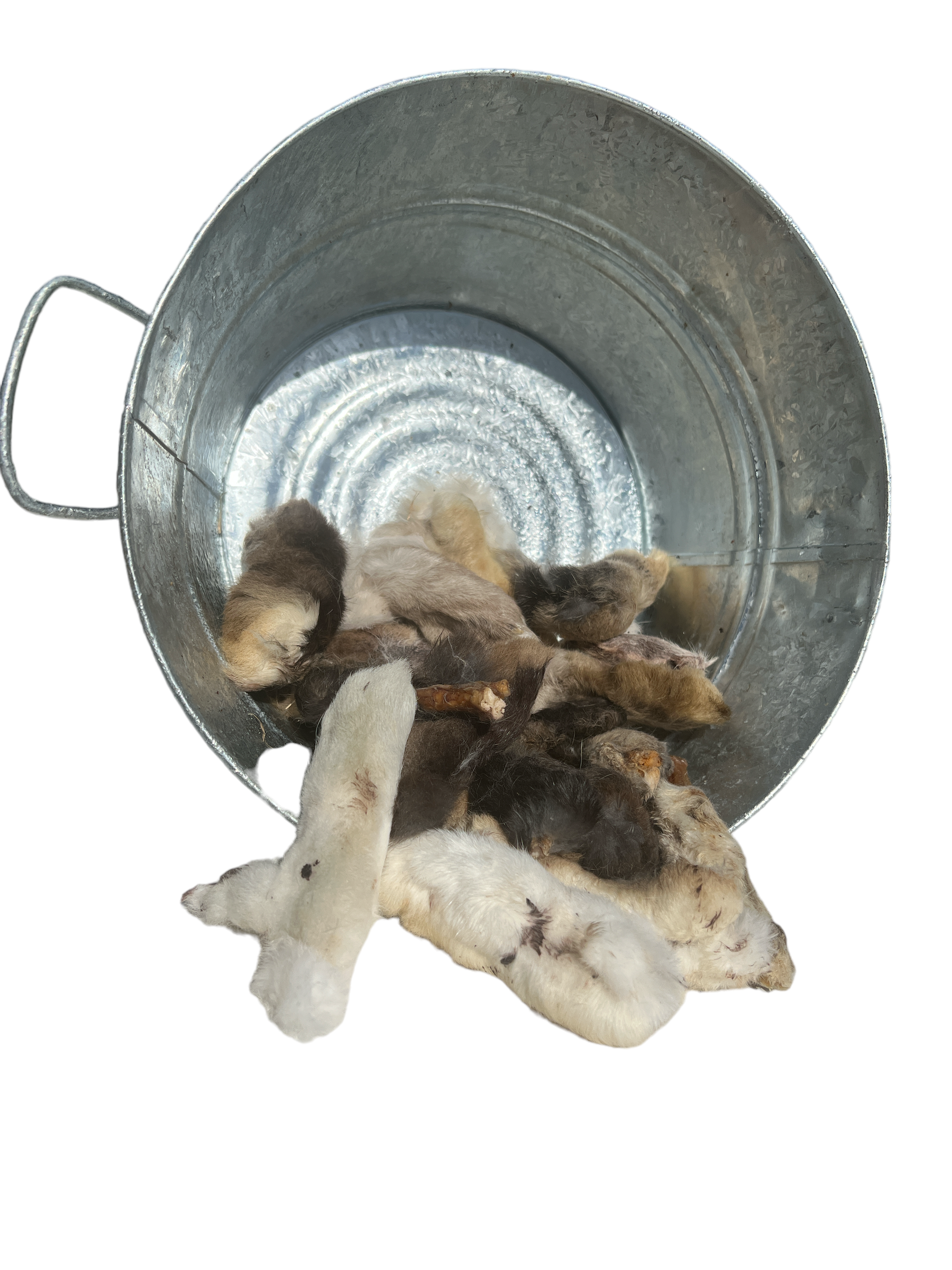 Rabbit Feet with Fur Treats for Dogs